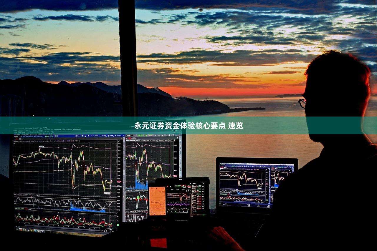 永元证券资金体验核心要点 速览