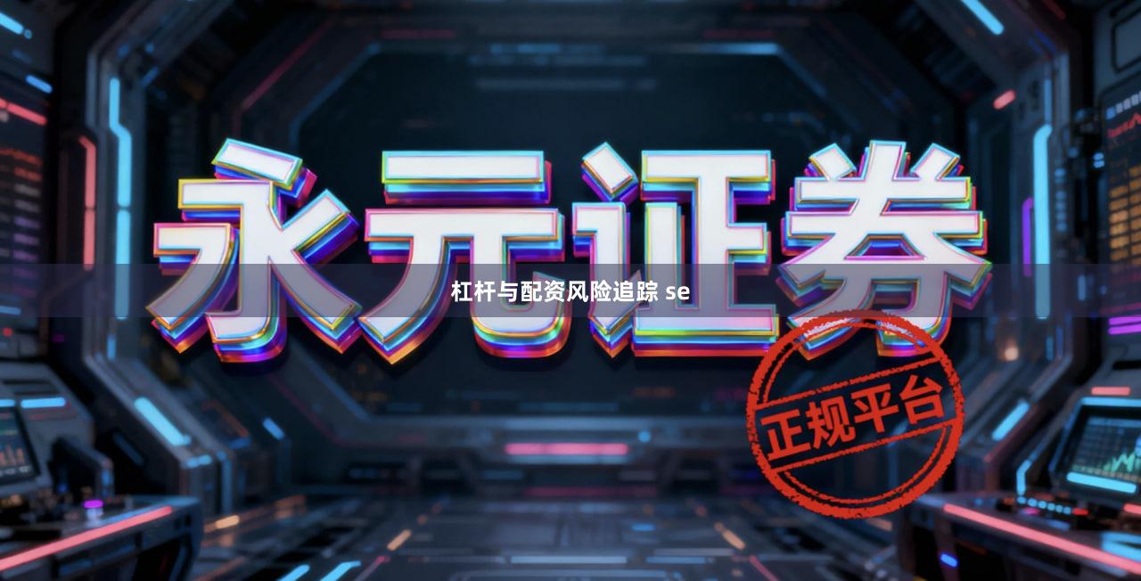 杠杆与配资风险追踪 se
